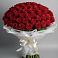 Букет 101 Красная роза Блэк Мэджик в Морках