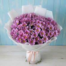 Букет цветов из:  Хризантемы в Морках