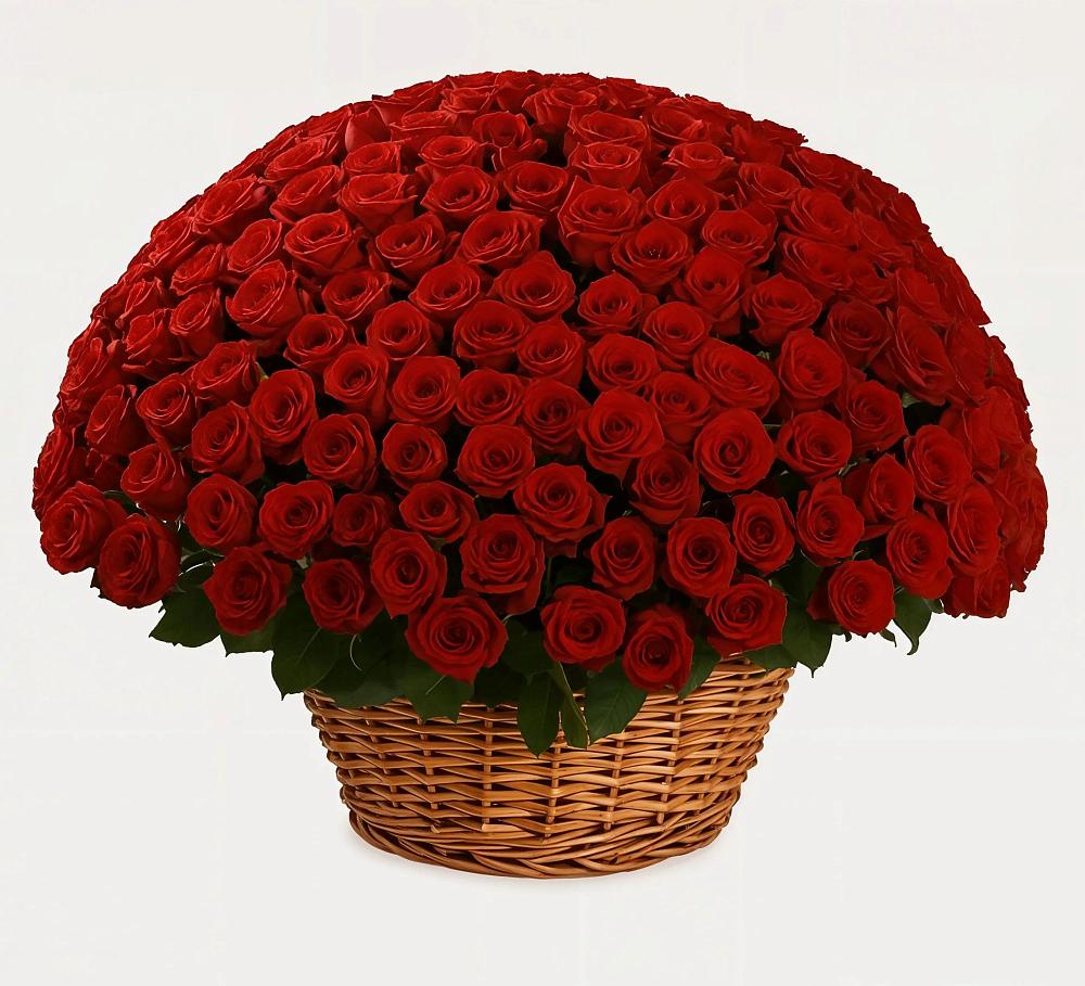 Премиум букет из: Розы в Морках