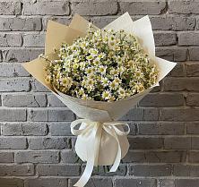 Букет цветов из:  Ромашки в Морках
