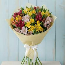 Букет цветов из:  Альстромерии #REPLACE_PRED# Морках