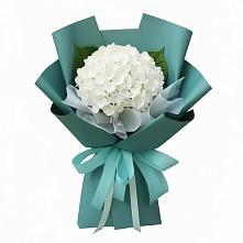 Букет цветов из:  Гортензия #REPLACE_PRED# Морках